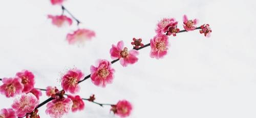 IMG_20200114_174800