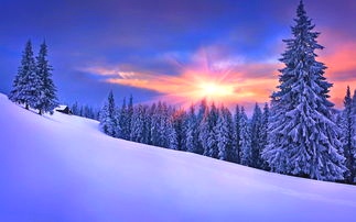 IMG_20200111_183231