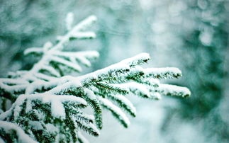 IMG_20200111_183051