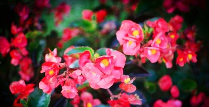 IMG_20200115_182749
