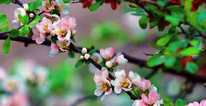 IMG_20200115_182816