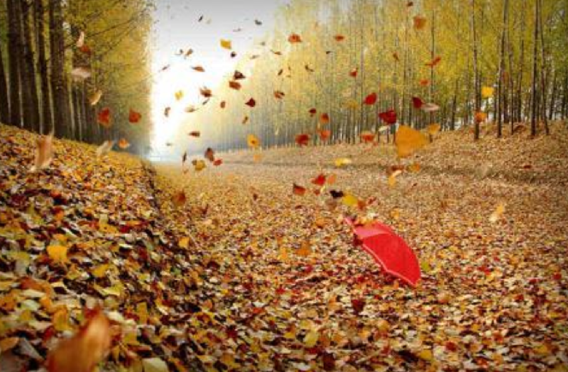 IMG_20191102_212228