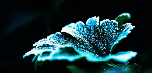 IMG_20200117_164949