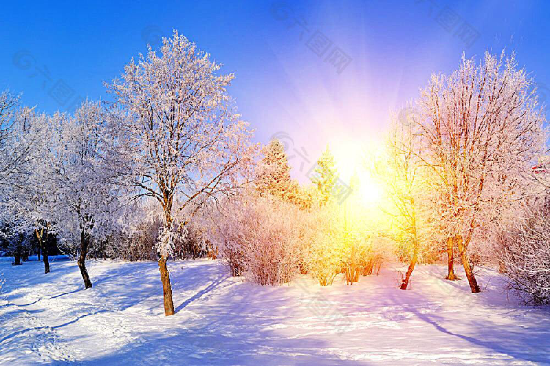 0DB5969D-75B6-448A-8D97-1955515A8262