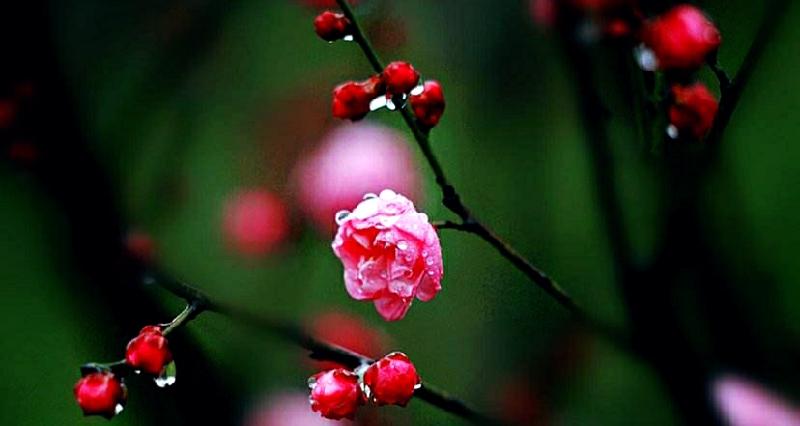 IMG_20200120_124026