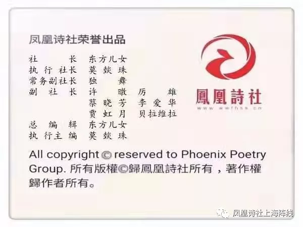 mmexport1579086395431.webp