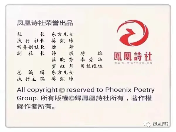 mmexport1578459678918.webp