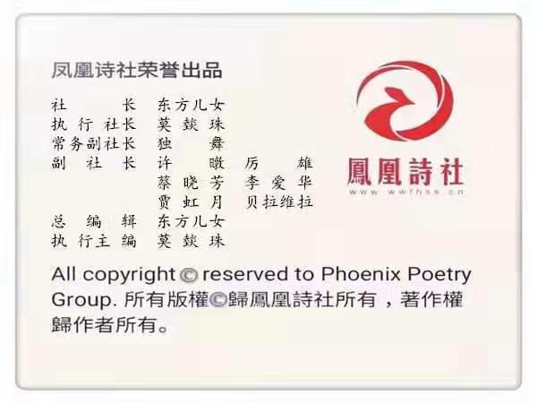 mmexport1579223814788