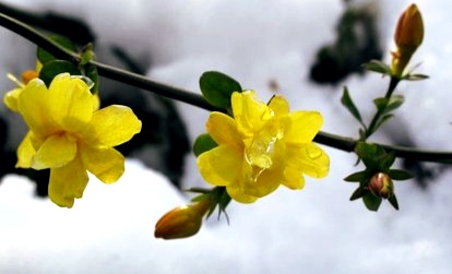 IMG_20200207_121723