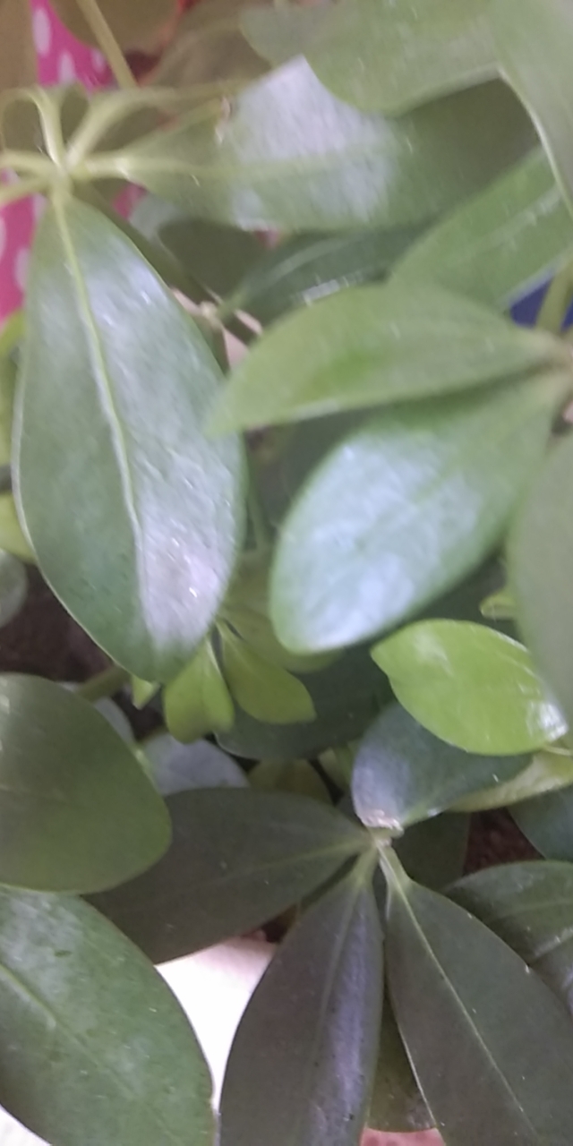 wx_camera_1580700315971